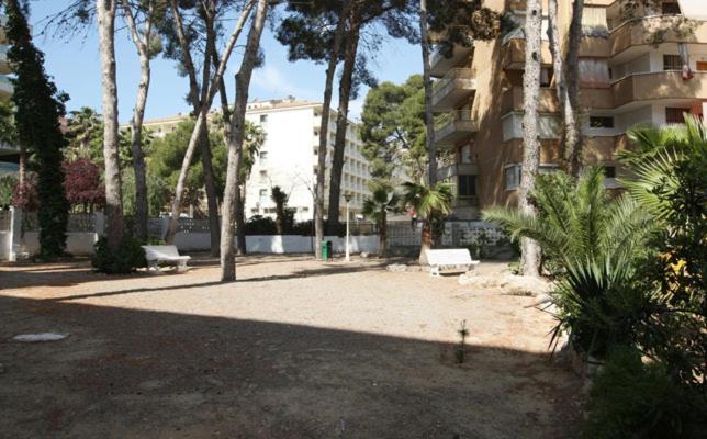 Apartamentos Arquus Center Салоу Екстериор снимка